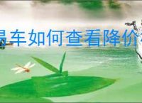 易车如何查看降价榜