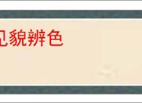 见貌辨色