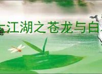 大江湖之苍龙与白鸟怎么找无名剑神,大江湖之苍龙与白鸟无名剑神攻略