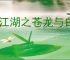 大江湖之苍龙与白鸟怎么找无名剑神,大江湖之苍龙与白鸟无名剑神攻略