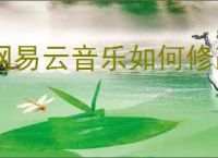 网易云音乐如何修改首页音乐应用