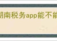 湖南税务app能不能开电子发票
