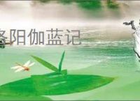 洛阳伽蓝记