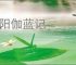 洛阳伽蓝记
