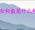 修女和鱼是什么梗
