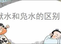 洑水和凫水的区别