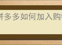 拼多多如何加入购物车一起付款