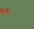 卷地皮