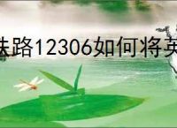 铁路12306如何将英文换成中文