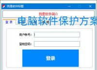 电脑软件保护方案：全方位守护您的数字资产