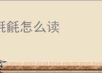 氍毹怎么读
