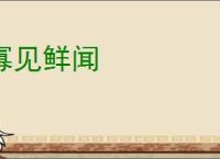 寡见鲜闻