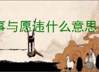 事与愿违什么意思
