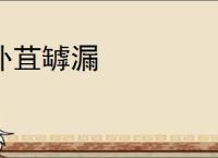 补苴罅漏