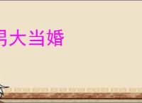 男大当婚