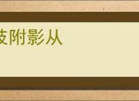 枝附影从