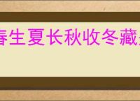 春生夏长秋收冬藏是什么意思