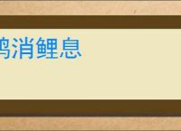 鸿消鲤息