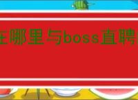 在哪里与boss直聘的BOSS交谈