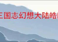三国志幻想大陆皓麟姜维怎么玩,三国志幻想大陆皓麟姜维搭配攻略