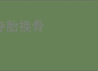 夺胎换骨