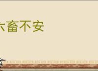 六畜不安