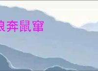 狼奔鼠窜