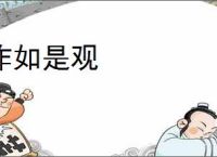 作如是观