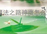 魔法之路神鹰怎么过3000层,魔法之路零氪神鹰3000层阵容推荐