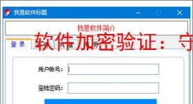 软件加密验证：守护数字资产安全的核心技术