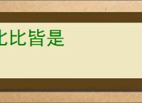 比比皆是