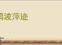 鸥波萍迹