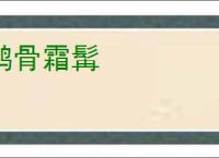 鹤骨霜髯