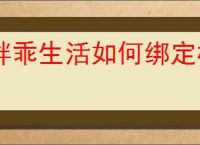 胖乖生活如何绑定校园卡