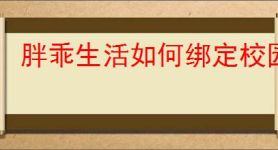 胖乖生活如何绑定校园卡