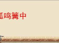狐鸣篝中
