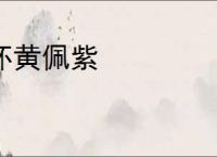 怀黄佩紫
