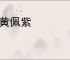 怀黄佩紫