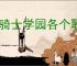 龙骑士学园各个职业有什么特点,龙骑士学园不同职业流派属性一览