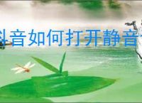 抖音如何打开静音设置
