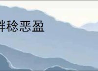 衅稔恶盈