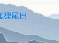 狐狸尾巴