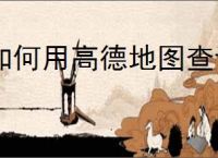 如何用高德地图查询沿途加油站