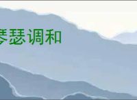 琴瑟调和