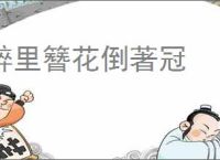 醉里簪花倒著冠