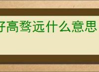 好高骛远什么意思