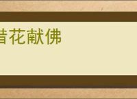 借花献佛