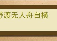 野渡无人舟自横
