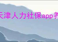 天津人力社保app养老认证如何操作