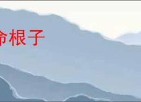 命根子